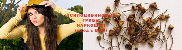 бошки Балахна