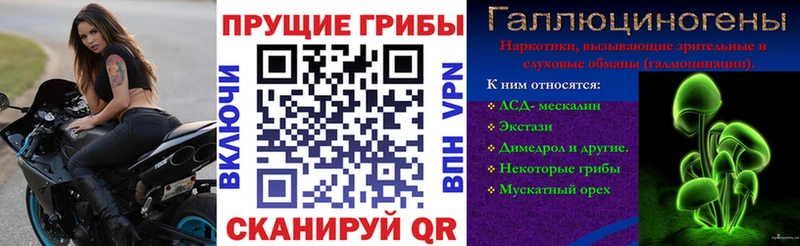 Галлюциногенные грибы Cubensis Балахна